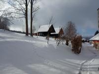 IMG_20240120_112552 (1024x768).jpg